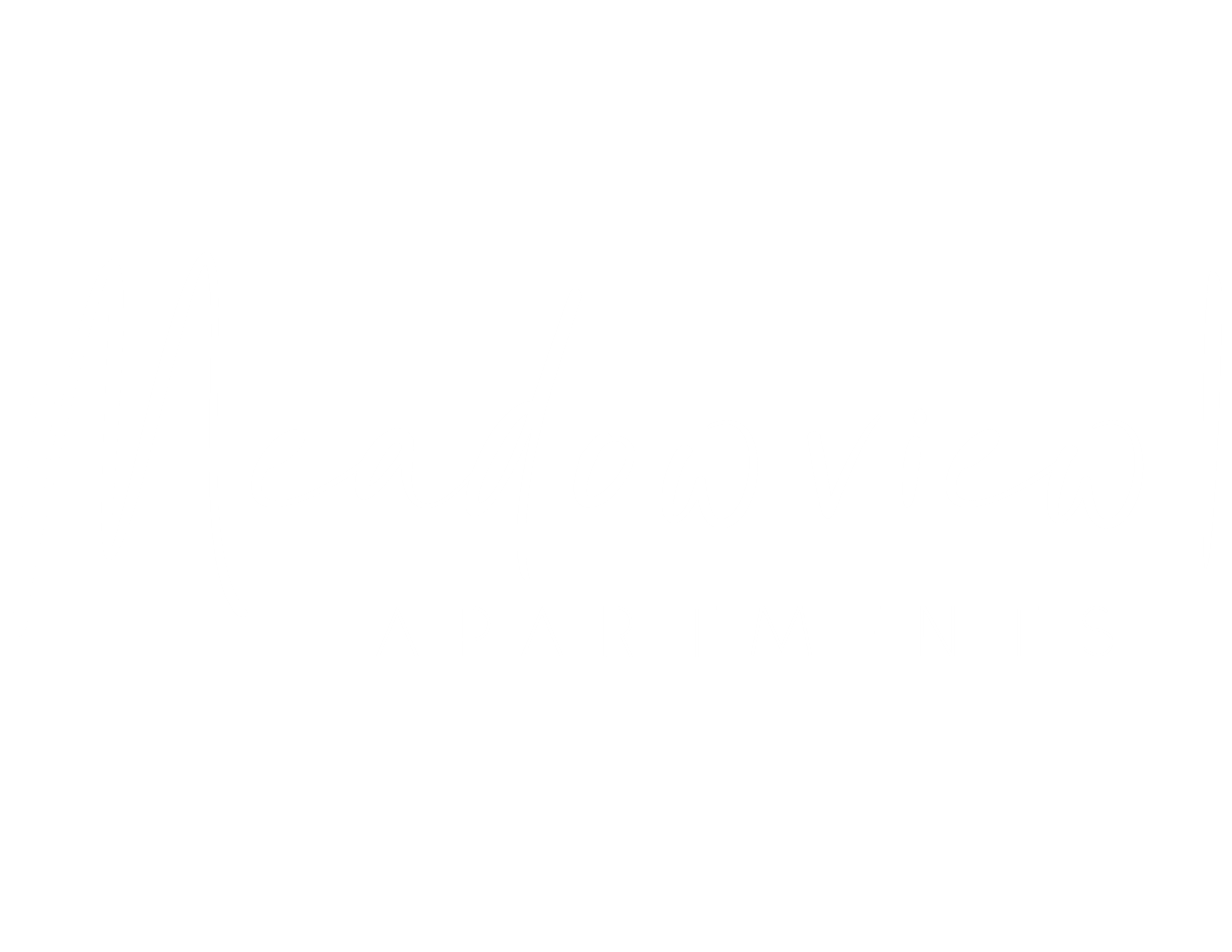 a black background with the words meadow view apartments written on it